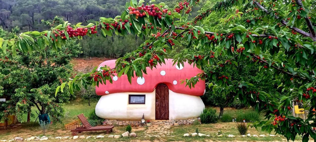 Krka Magic Pumpkin Hotel Rupe Exterior photo